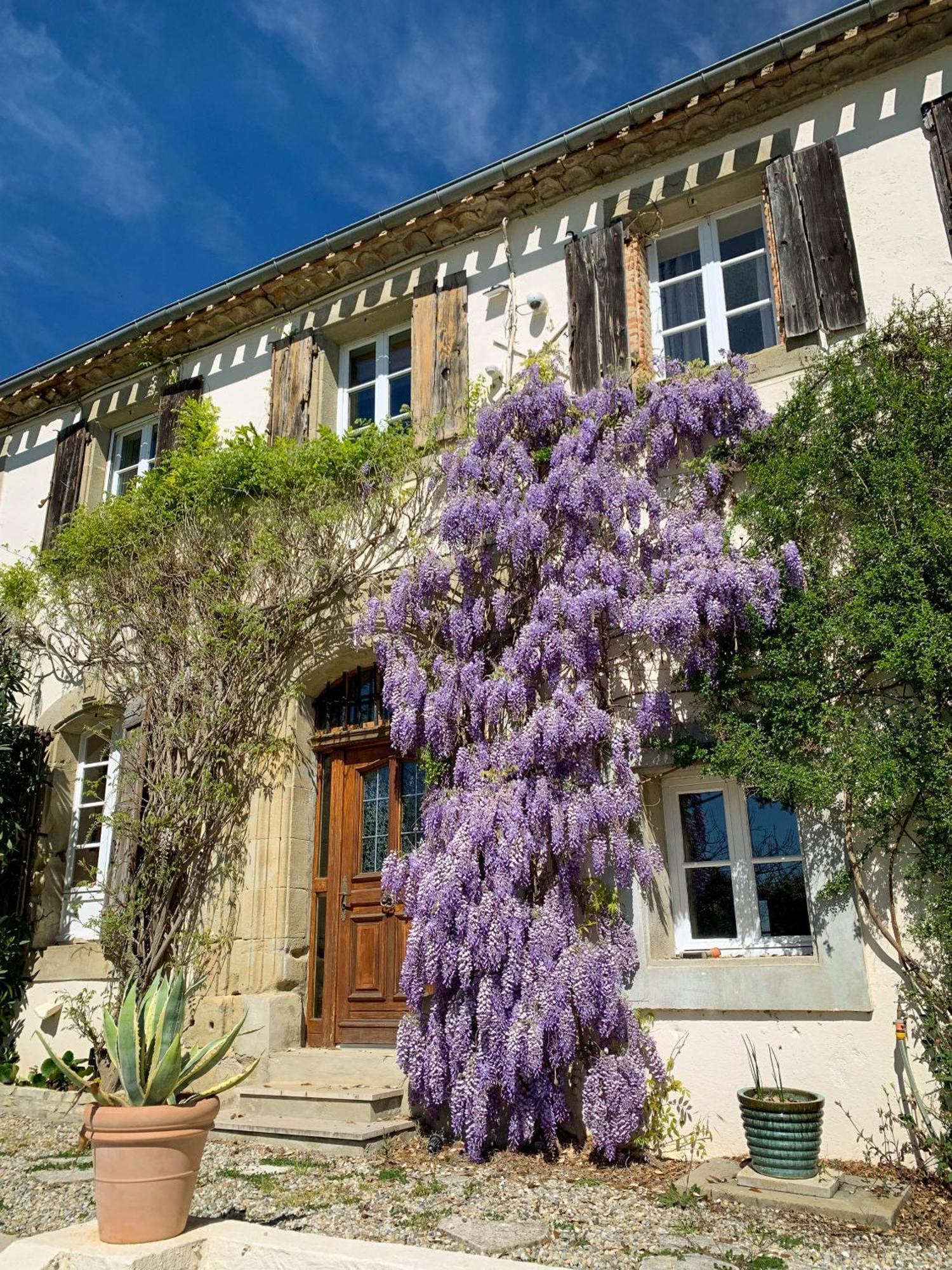 The East Wing - Carcassonne Villa Montréal Buitenkant foto